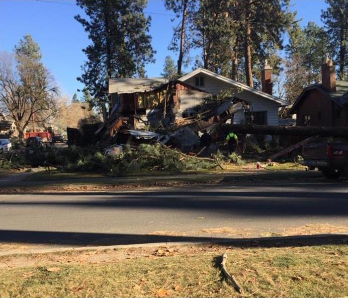 Debris from fallen tree all over house