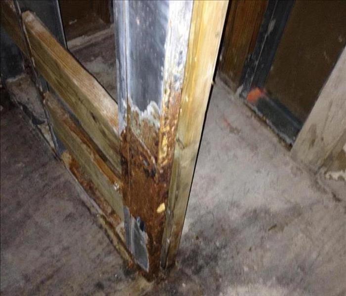 Photo of water damaged wood in basement